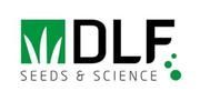 DLF Trifolium