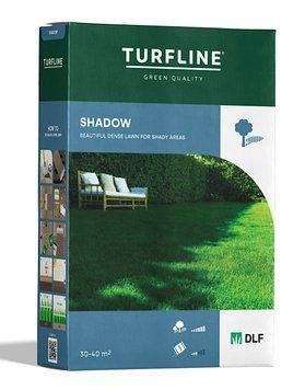 Семена теневого газона Shadow DLF 234 фото