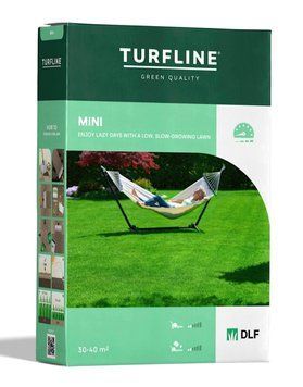 Низкорослая трава MINI DLF Trifolium 228 фото