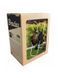 Тележка со шлангом 1/2&Prime; 20 м, пистолетом, оросителем и арматурой ECO-AG26020SET2 ECO-AG26020SET2 фото 1