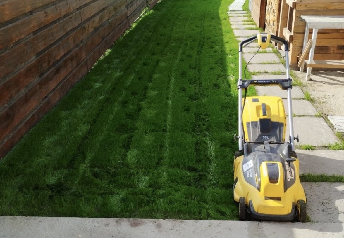 Густой газон из овсяницы тростниковой возле дома — фото клиента Garden Lux